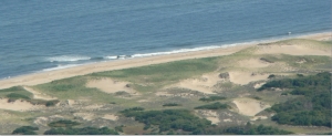 The Barrier Dune System